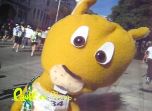 Squiffy on the Run – Bay to Breakers